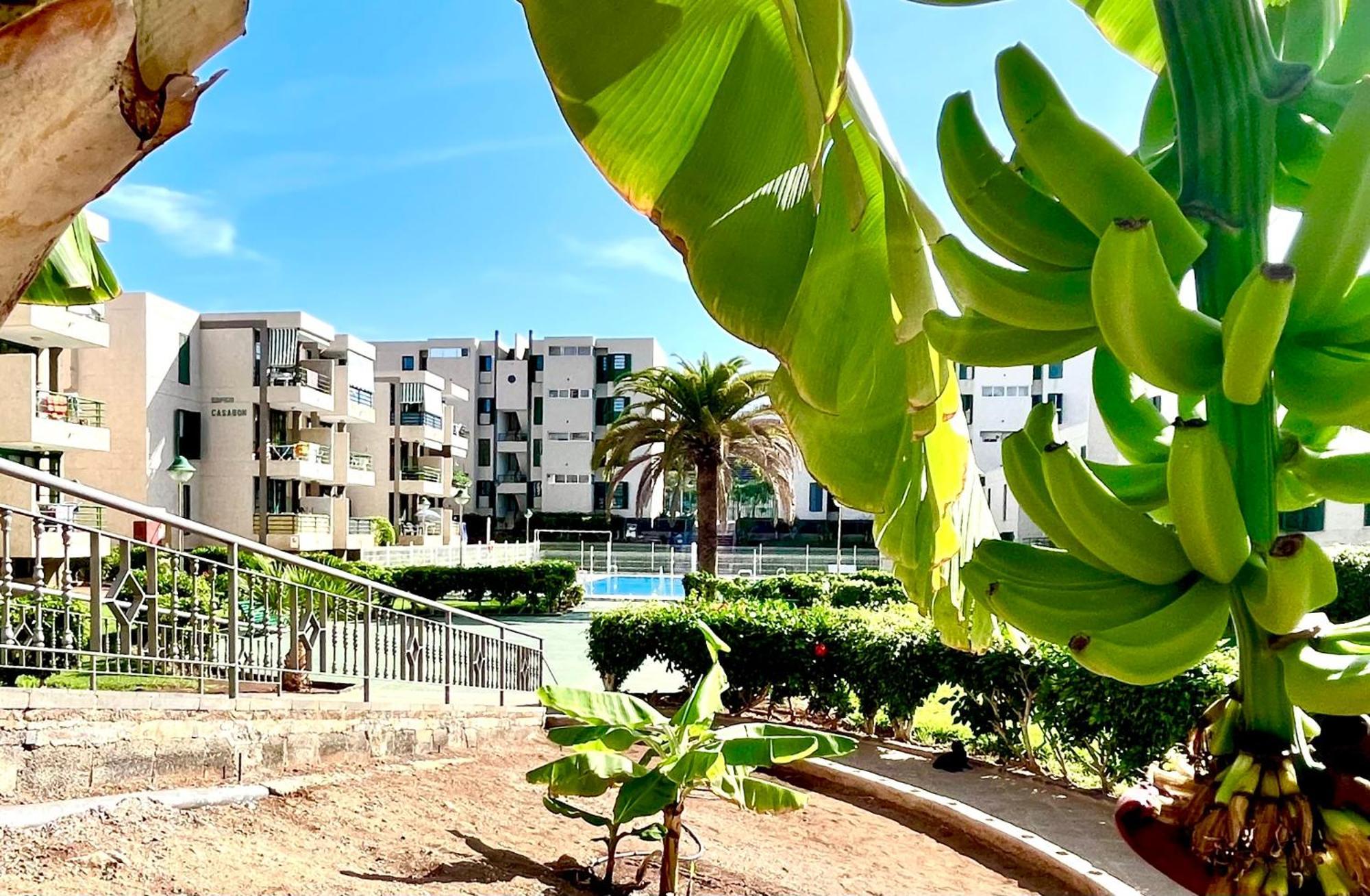 Las Vinas Apartment Playa de las Américas Buitenkant foto